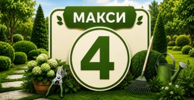 Макси 4