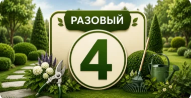Разовый 4