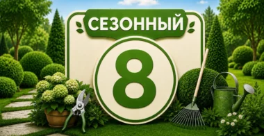 Сезон 8